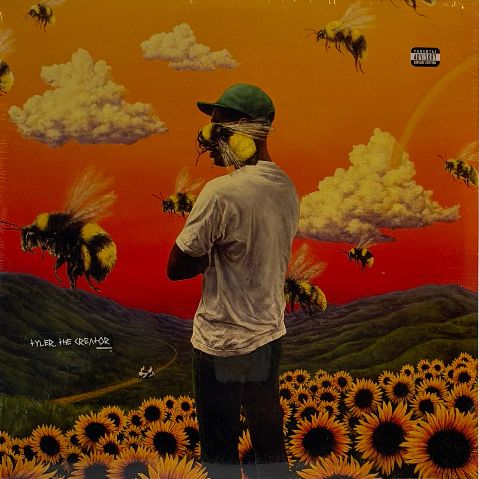 Tyler, The Creator — Flower Boy 2LP Vinyl