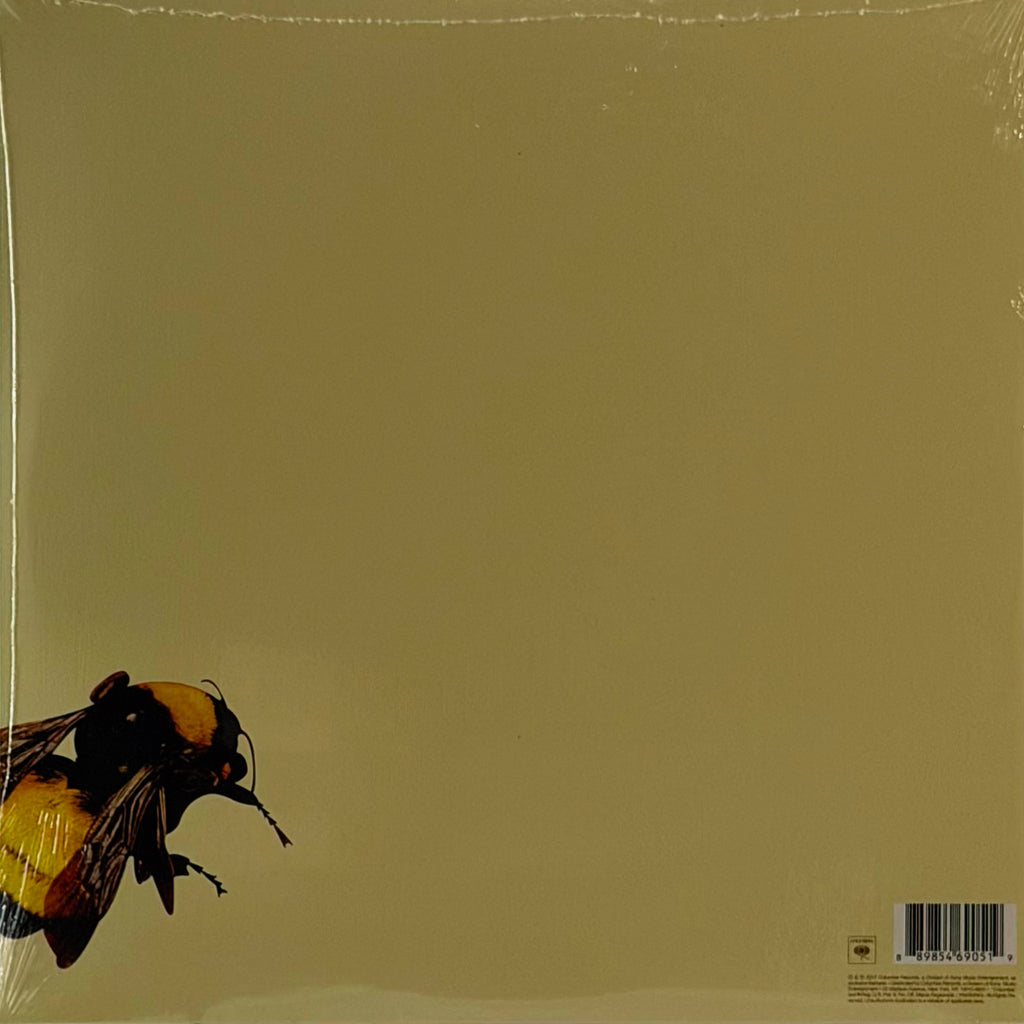 Tyler, The Creator — Flower Boy 2LP Vinyl