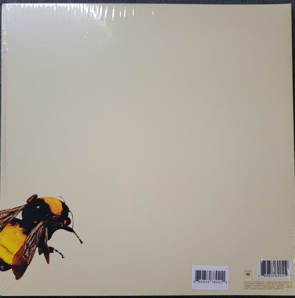 Tyler, The Creator — Flower Boy 2LP