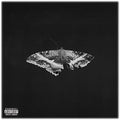 Kendrick Lamar — To Pimp A Butterfly 2LP (10 Year Anniversary)